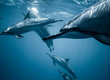 kaiyun-FIFA祝武磊29岁生日快乐：漫漫征途愿前方依旧明亮